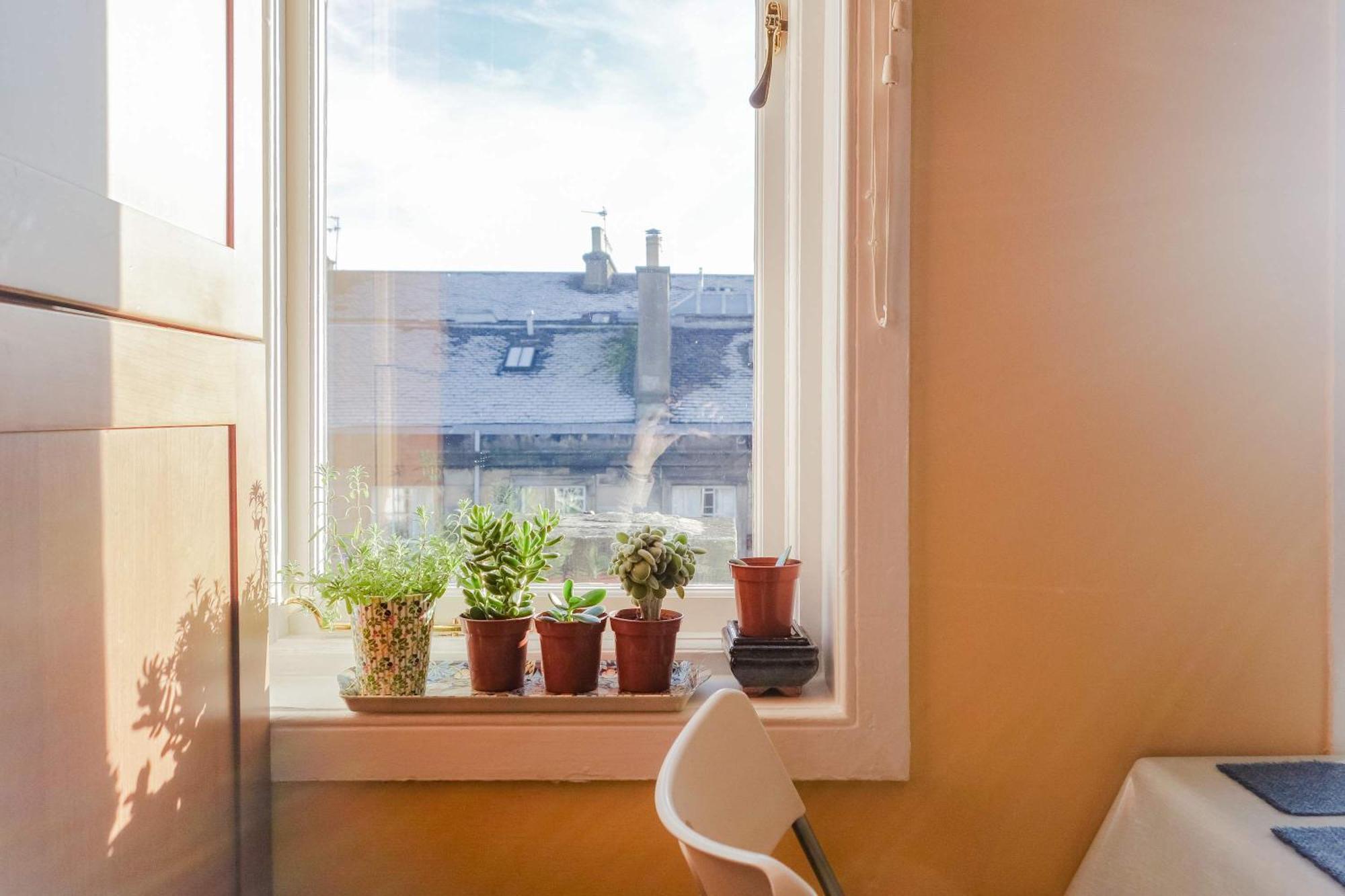 Sophisticated In Centre Appartement